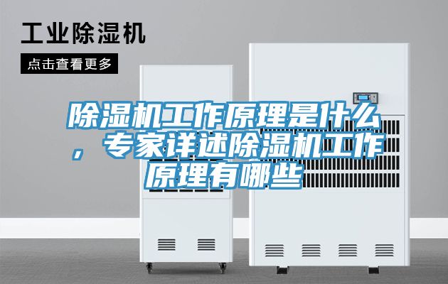 除濕機(jī)工作原理是什么，專家詳述除濕機(jī)工作原理有哪些