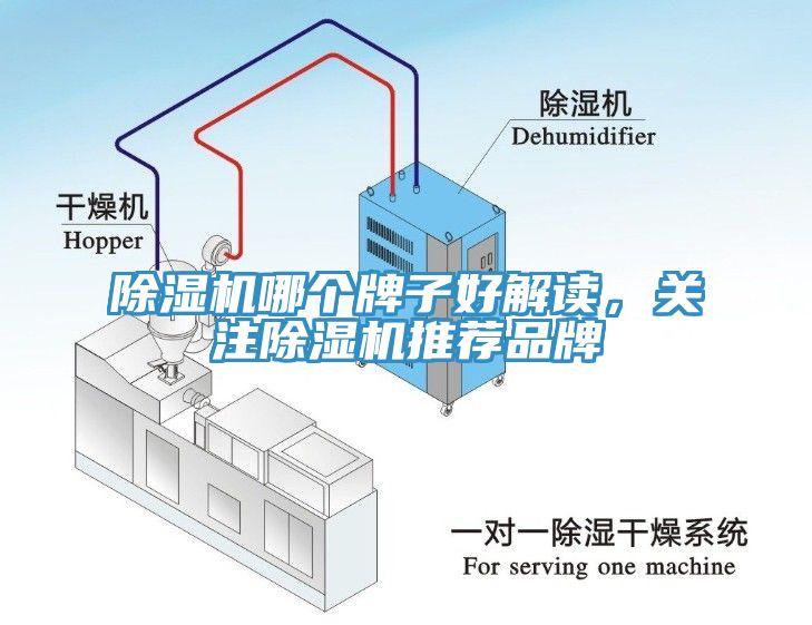 除濕機(jī)哪個(gè)牌子好解讀，關(guān)注除濕機(jī)推薦品牌