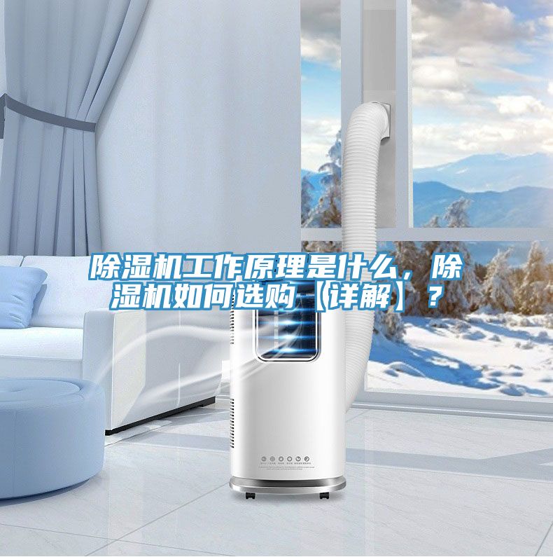 除濕機(jī)工作原理是什么，除濕機(jī)如何選購【詳解】？