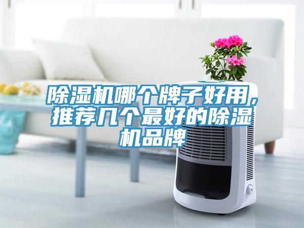 除濕機(jī)哪個(gè)牌子好用，推薦幾個(gè)最好的除濕機(jī)品牌