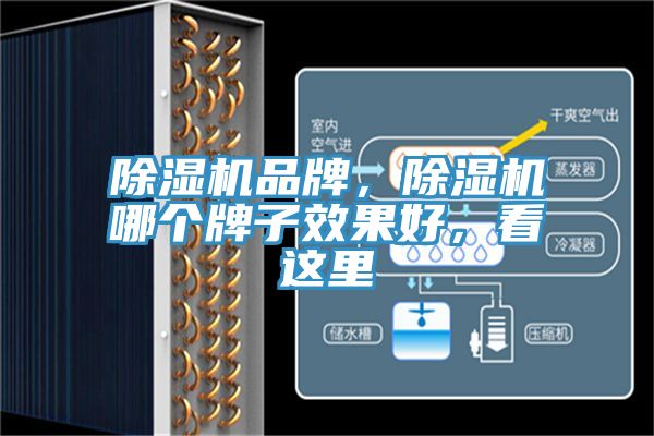 除濕機品牌，除濕機哪個牌子效果好，看這里