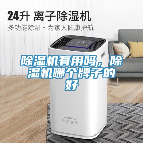 除濕機(jī)有用嗎，除濕機(jī)哪個(gè)牌子的好