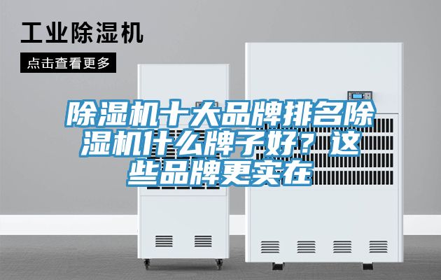 除濕機(jī)十大品牌排名除濕機(jī)什么牌子好？這些品牌更實(shí)在
