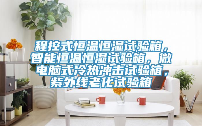 程控式恒溫恒濕試驗(yàn)箱，智能恒溫恒濕試驗(yàn)箱，微電腦式冷熱沖擊試驗(yàn)箱，紫外線老化試驗(yàn)箱
