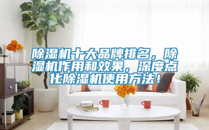 除濕機(jī)十大品牌排名，除濕機(jī)作用和效果，深度點(diǎn)化除濕機(jī)使用方法！