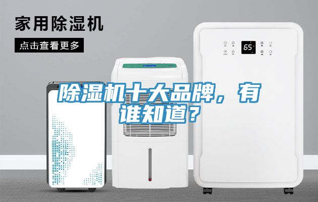 除濕機(jī)十大品牌，有誰知道？