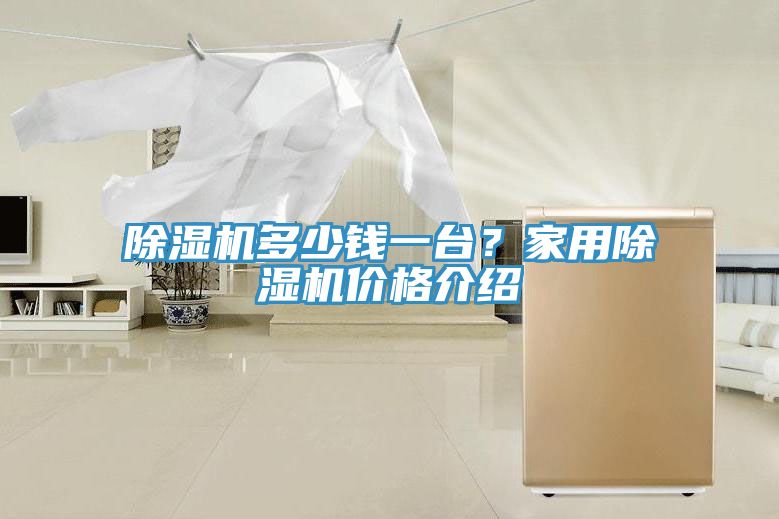 除濕機(jī)多少錢一臺(tái)？家用除濕機(jī)價(jià)格介紹