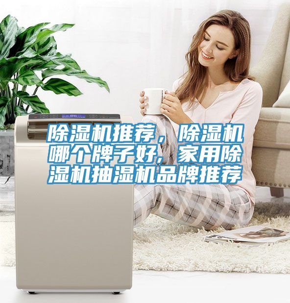 除濕機(jī)推薦，除濕機(jī)哪個(gè)牌子好, 家用除濕機(jī)抽濕機(jī)品牌推薦