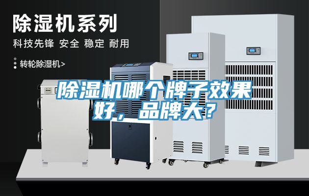 除濕機(jī)哪個牌子效果好，品牌大？