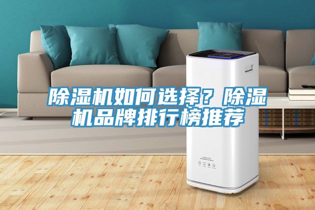 除濕機(jī)如何選擇？除濕機(jī)品牌排行榜推薦