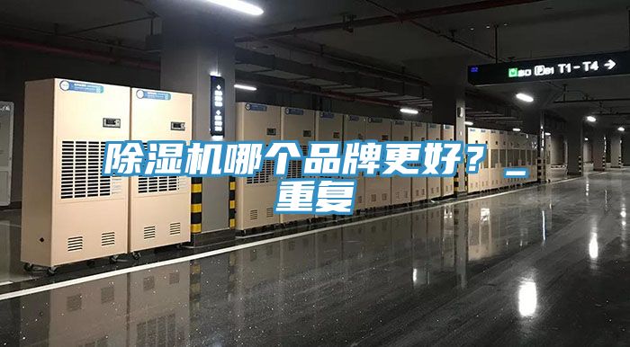 除濕機哪個品牌更好？_重復(fù)