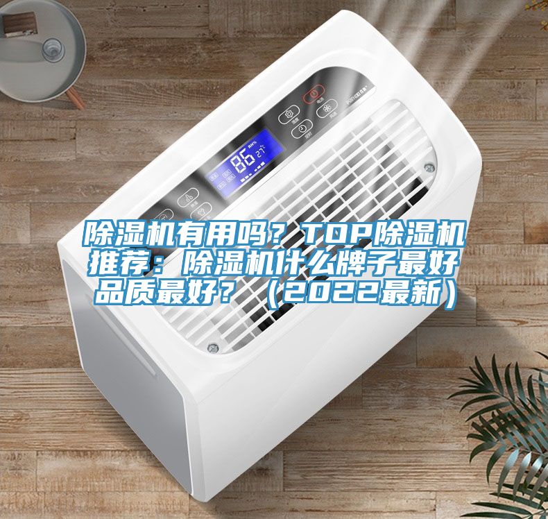 除濕機(jī)有用嗎？TOP除濕機(jī)推薦：除濕機(jī)什么牌子最好品質(zhì)最好？（2022最新）