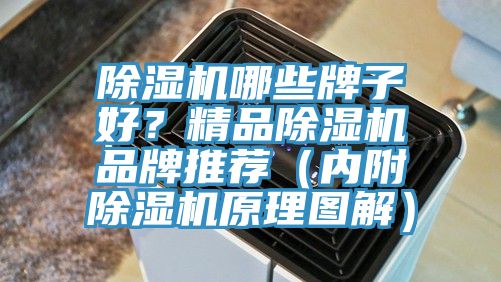 除濕機(jī)哪些牌子好？精品除濕機(jī)品牌推薦（內(nèi)附除濕機(jī)原理圖解）