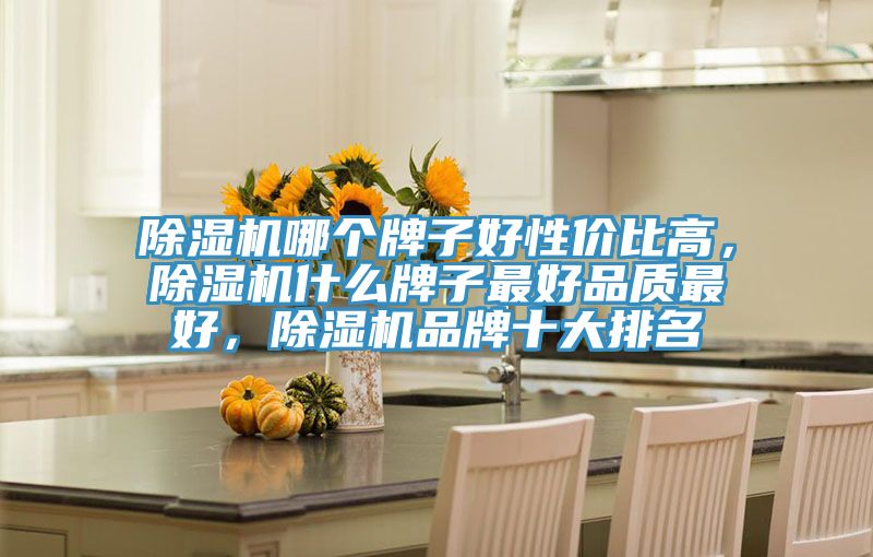 除濕機(jī)哪個(gè)牌子好性價(jià)比高，除濕機(jī)什么牌子最好品質(zhì)最好，除濕機(jī)品牌十大排名