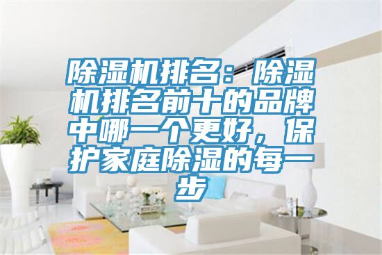 除濕機(jī)排名：除濕機(jī)排名前十的品牌中哪一個(gè)更好，保護(hù)家庭除濕的每一步