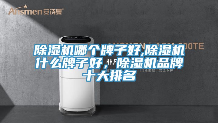 除濕機(jī)哪個(gè)牌子好,除濕機(jī)什么牌子好，除濕機(jī)品牌十大排名