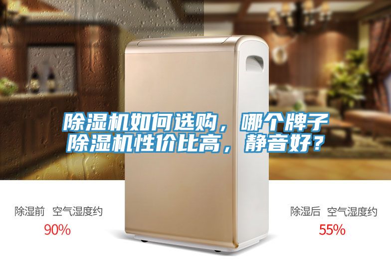 除濕機如何選購，哪個牌子除濕機性價比高，靜音好？