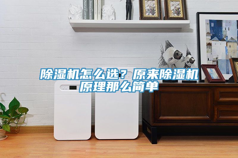 除濕機怎么選？原來除濕機原理那么簡單