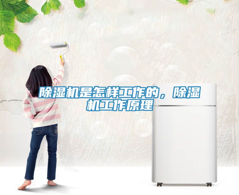 除濕機(jī)是怎樣工作的，除濕機(jī)工作原理
