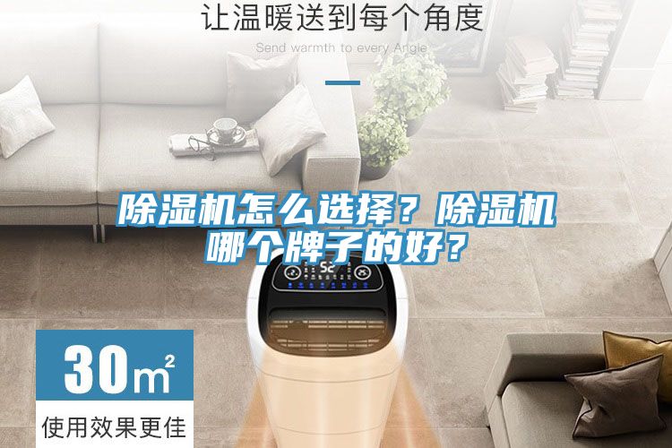 除濕機怎么選擇？除濕機哪個牌子的好？