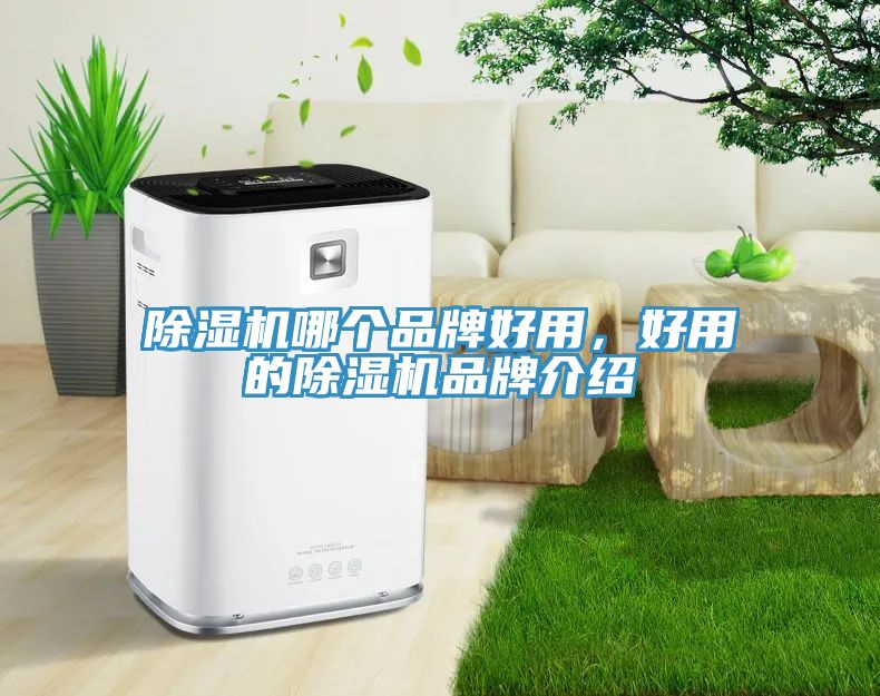 除濕機哪個品牌好用，好用的除濕機品牌介紹