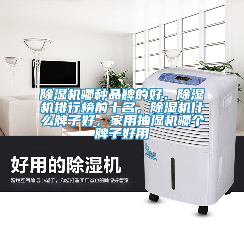 除濕機(jī)哪種品牌的好，除濕機(jī)排行榜前十名，除濕機(jī)什么牌子好，家用抽濕機(jī)哪個(gè)牌子好用