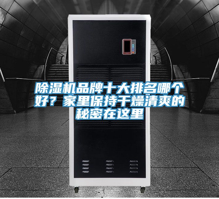 除濕機(jī)品牌十大排名哪個好？家里保持干燥清爽的秘密在這里