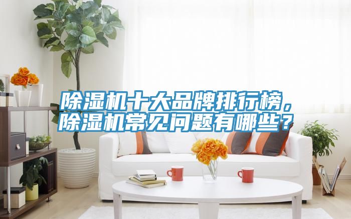 除濕機(jī)十大品牌排行榜，除濕機(jī)常見問題有哪些？