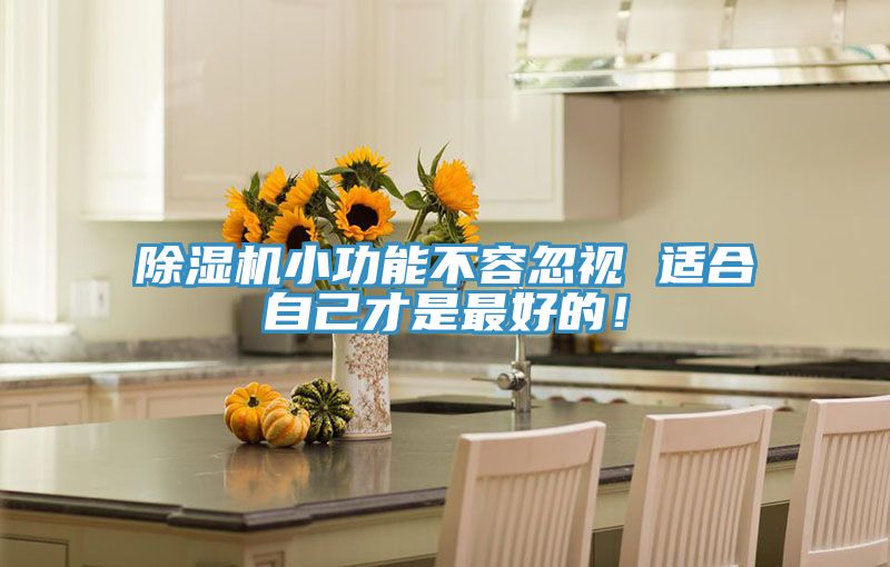 除濕機(jī)小功能不容忽視 適合自己才是最好的！