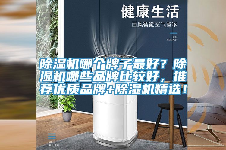 除濕機(jī)哪個牌子最好？除濕機(jī)哪些品牌比較好，推薦優(yōu)質(zhì)品牌+除濕機(jī)精選！