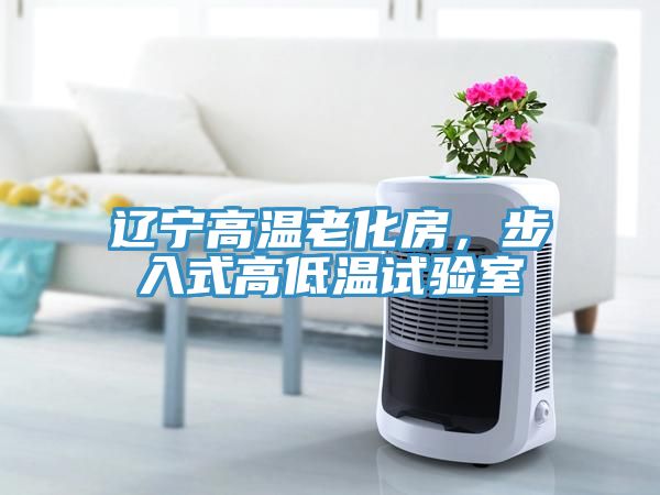 遼寧高溫老化房，步入式高低溫試驗(yàn)室