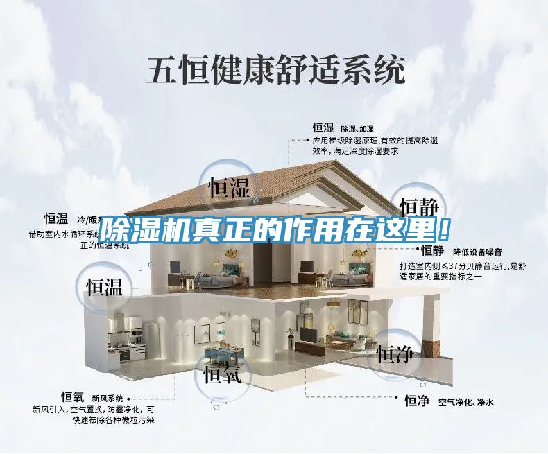 除濕機(jī)真正的作用在這里！