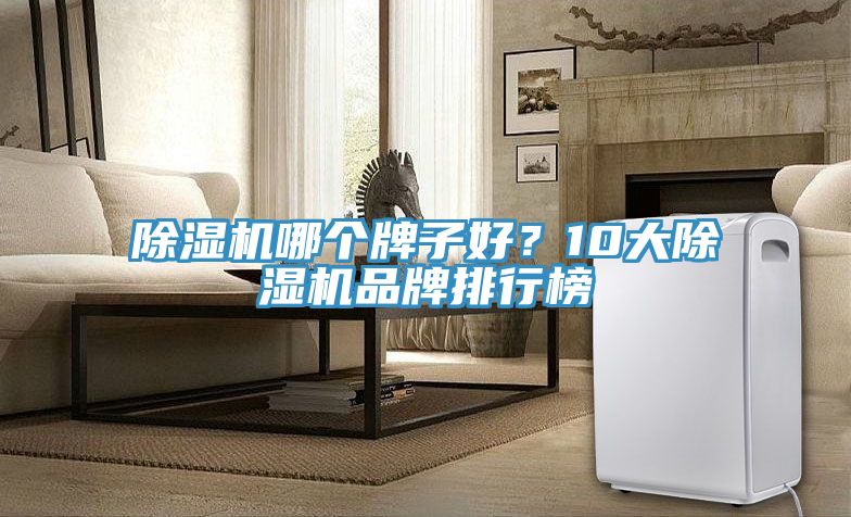 除濕機(jī)哪個(gè)牌子好？10大除濕機(jī)品牌排行榜