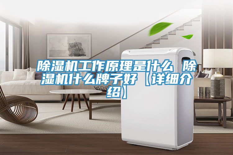 除濕機工作原理是什么 除濕機什么牌子好【詳細(xì)介紹】