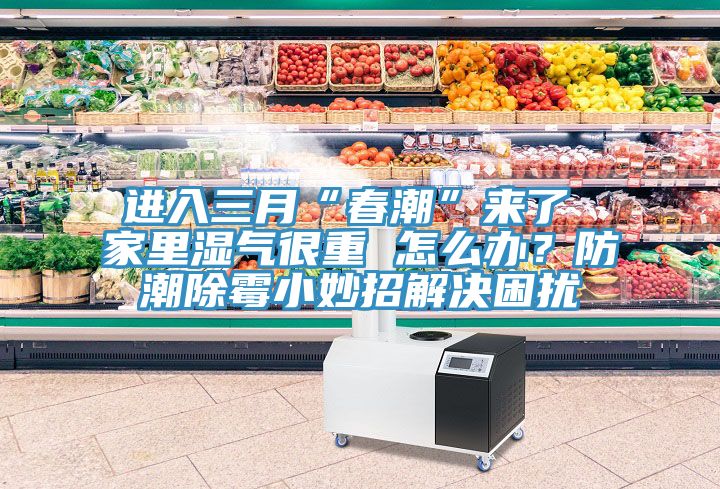 進入三月“春潮”來了 家里濕氣很重 怎么辦？防潮除霉小妙招解決困擾