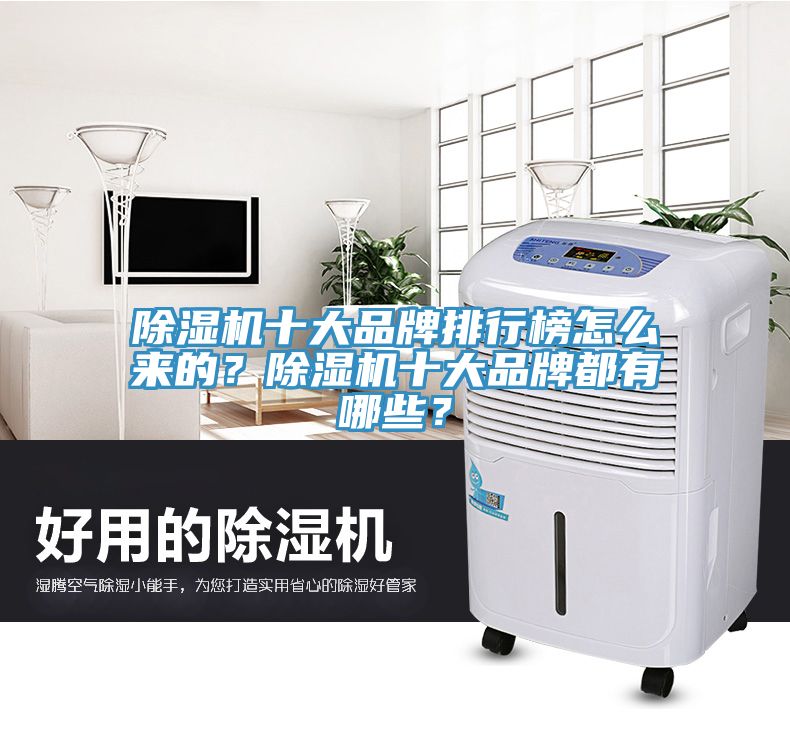 除濕機(jī)十大品牌排行榜怎么來(lái)的？除濕機(jī)十大品牌都有哪些？