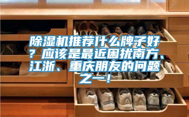 除濕機(jī)推薦什么牌子好？應(yīng)該是最近困擾南方、江浙、重慶朋友的問題之一！