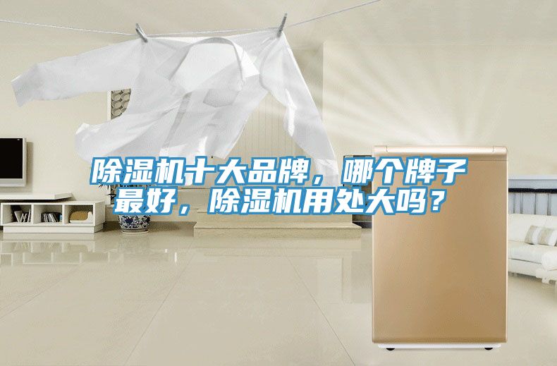 除濕機(jī)十大品牌，哪個(gè)牌子最好，除濕機(jī)用處大嗎？