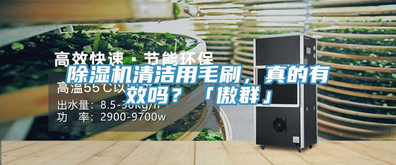 除濕機(jī)清潔用毛刷，真的有效嗎？「傲群」