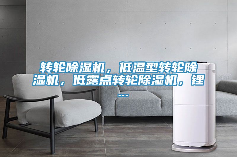 轉(zhuǎn)輪除濕機，低溫型轉(zhuǎn)輪除濕機，低露點轉(zhuǎn)輪除濕機，鋰 ...