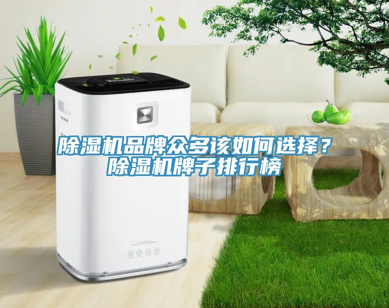 除濕機(jī)品牌眾多該如何選擇？除濕機(jī)牌子排行榜