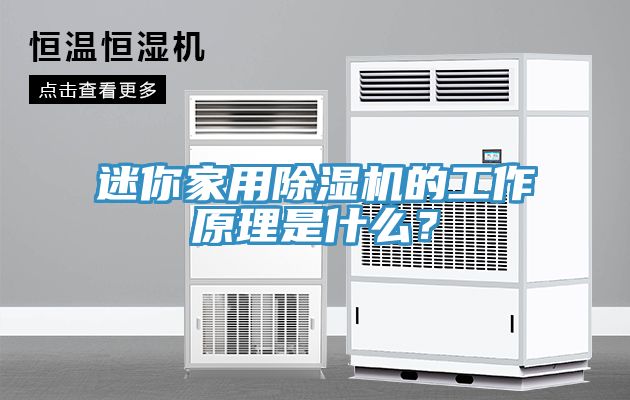 迷你家用除濕機的工作原理是什么？