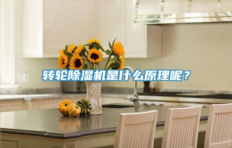 轉(zhuǎn)輪除濕機(jī)是什么原理呢？