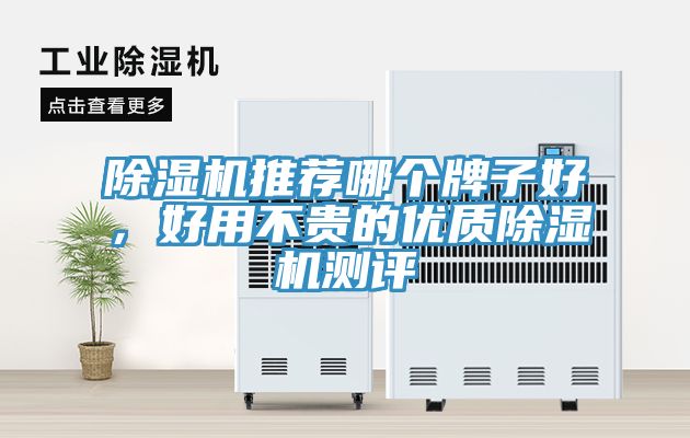 除濕機(jī)推薦哪個(gè)牌子好，好用不貴的優(yōu)質(zhì)除濕機(jī)測(cè)評(píng)
