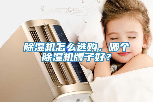 除濕機怎么選購，哪個除濕機牌子好？