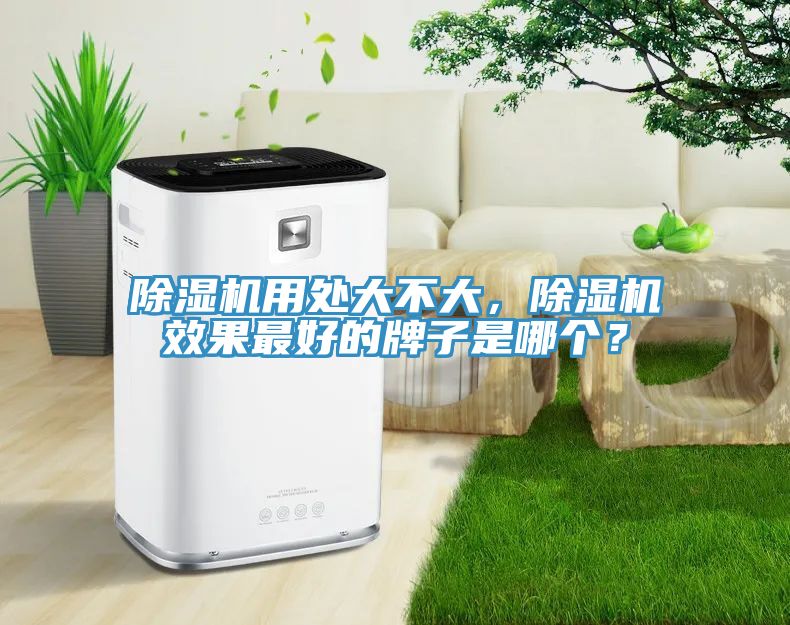 除濕機(jī)用處大不大，除濕機(jī)效果最好的牌子是哪個(gè)？