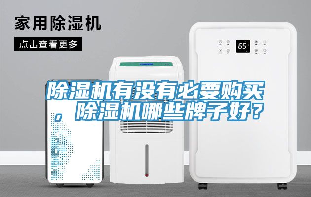 除濕機(jī)有沒(méi)有必要購(gòu)買(mǎi)，除濕機(jī)哪些牌子好？
