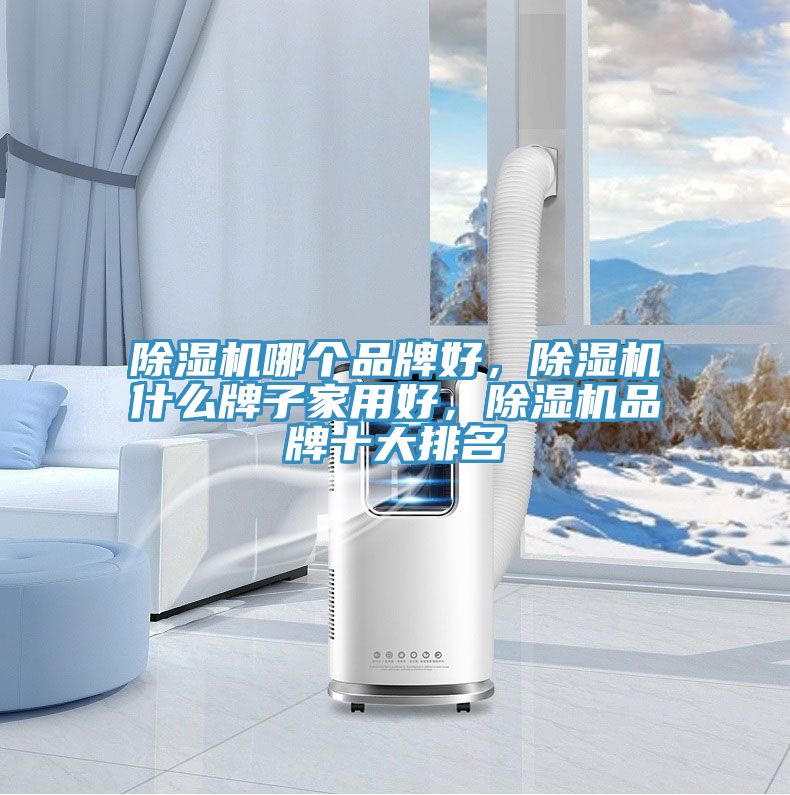 除濕機哪個品牌好，除濕機什么牌子家用好，除濕機品牌十大排名