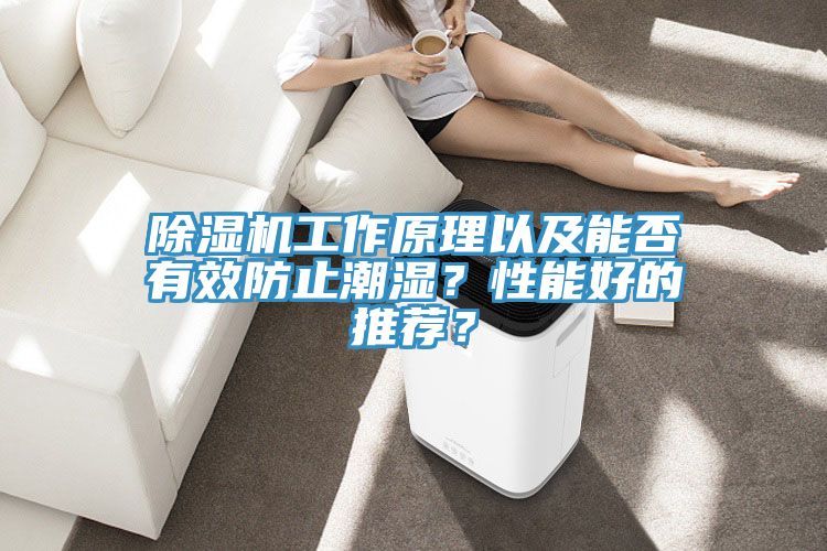 除濕機工作原理以及能否有效防止潮濕？性能好的推薦？
