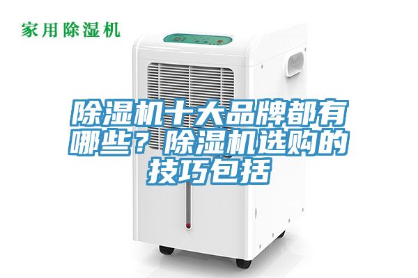 除濕機(jī)十大品牌都有哪些？除濕機(jī)選購的技巧包括